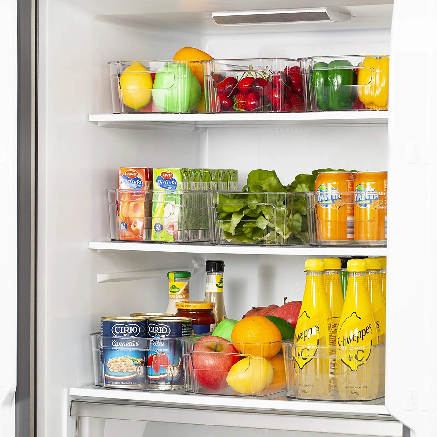 Fridge bins organizing a fridge